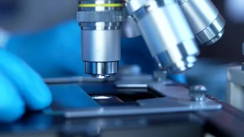 爱情动作片网站 - 气候科学家专访